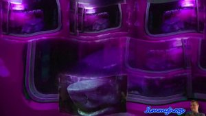 Preview 2 King Shark Bus Effects (Inspired by Preview 2 V17 Effects)