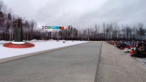 Флаги на кладбище