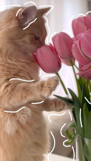 а чо писать 😰