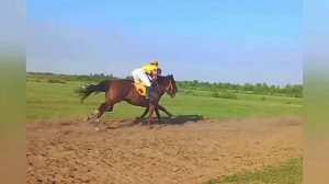 Скачки❤