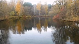 Серебряный бор.