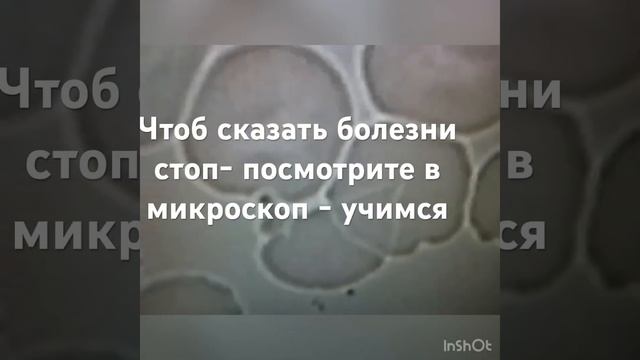 Аллергия, анемия, аутизм, аутоим.  заб-я, хр усталость -нарушение регуляции численности микрофлоры