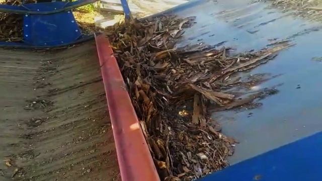 Скребковый транспортер для уборки мусора из под стола для подачи бревен