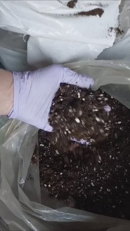 Готовим Грунт для Рассады в домашних условиях 🌱
