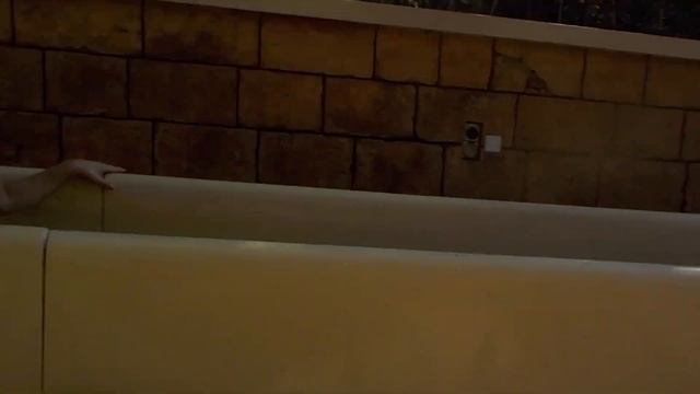 Atlantis Aquaventure - All you need to know about Dubai's best waterpark смотреть онлайн