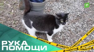 Рука помощи. Пострадавшим от паводка в Аше выплатят денежную компенсацию