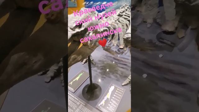 ископаемые животные и растения Сахалина смотреть онлайн