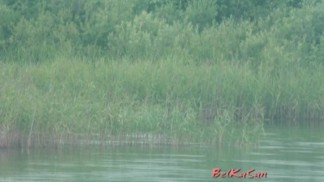 У Обрыва. Ты Цветок Роза с Шипами. Песня.
