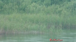 У Обрыва. Ты Цветок Роза с Шипами. Песня.