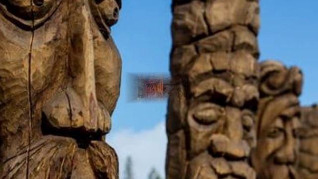 Звёздный океан тайги