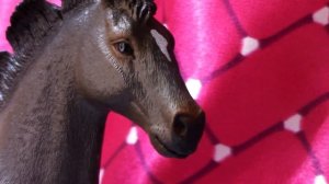 Сериал шляйх СЛЕДУЯ ЗОВУ СЕРДЦА 7 серия //schleich