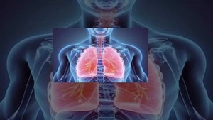 Киви творит чудеса,надо знать всем.