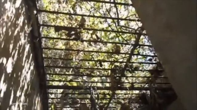 15 Mysterious Islands and Their Secrets смотреть онлайн