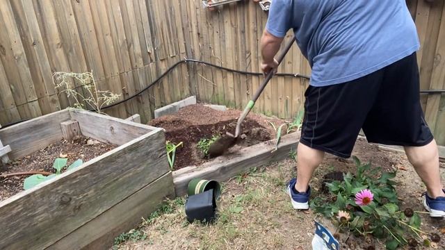 Redoing a small flower bed using transplants and clearance plants! смотреть онлайн