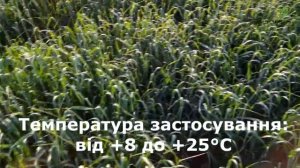 Гербіцид Томіган для зернових та маку (виробник "ADAMA") - оригінальне пакування та застосування.