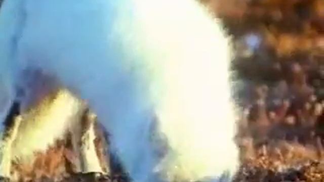 Песец смотреть онлайн