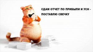 Отчитываемся по прибыли и упрощёнке за 2024 год