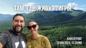 Там где живут тигры. Ковалерово сезон 2024. 12 серия