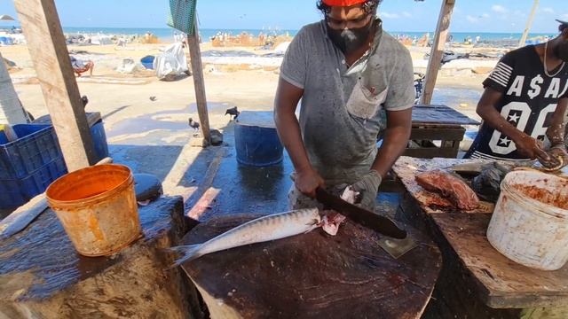 Hound Fish Slicing Vs Barracuda Fish Cutting | Mr.Sampath
