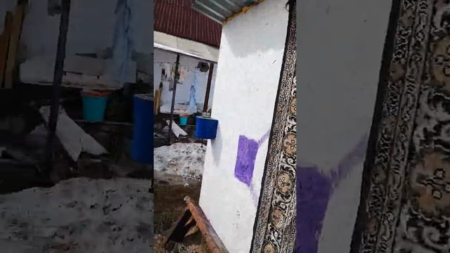 Отмороженная тёлка Вишня, вывел её на прогулку смотреть онлайн