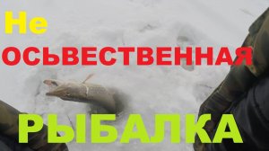 Не ОСЬВЕССВЕННАЯ рыбалка