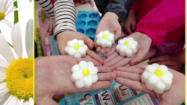 Белая ромашка смотреть онлайн