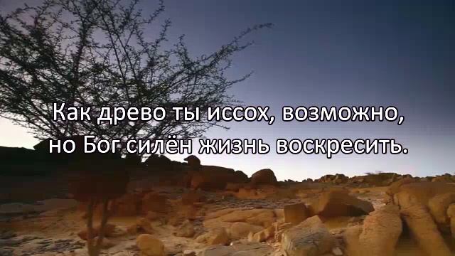 🎷Псалом 95 смотреть онлайн