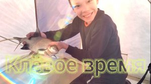 РЫБАЛКА/ЛЕЩИ/ОКУНЯ/ОТДЫХ НА КВХ/