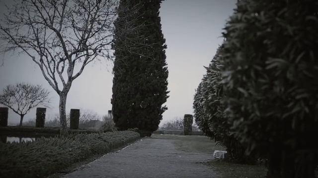 francesco marconi смотреть онлайн