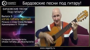 Изгиб гитары желтый. Митяев
