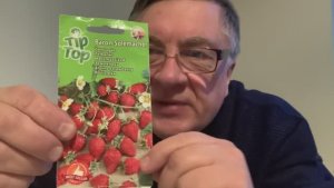 Сеем ароматную земляничку!