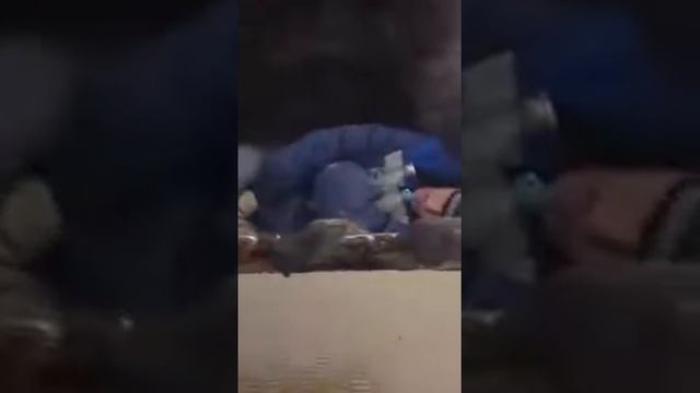 Если с другом вышел в путь смотреть онлайн