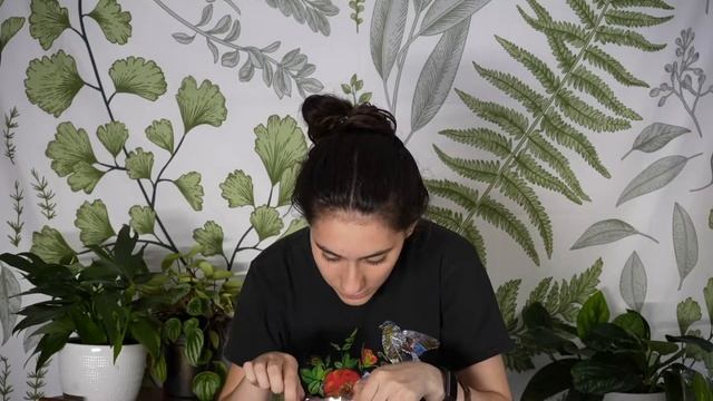 Amazon Plant Haul | Review | BUYING PLANTS OFF AMAZON? смотреть онлайн