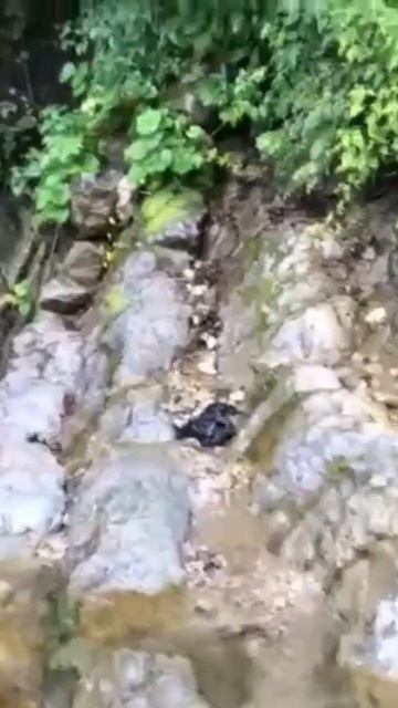 Дагестан  село Игали .