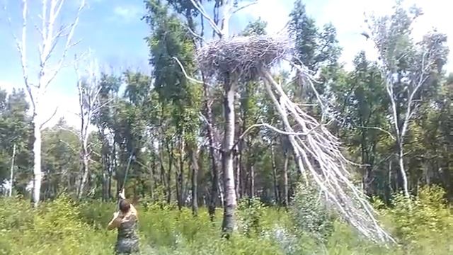 ловим аистов удочкой смотреть онлайн