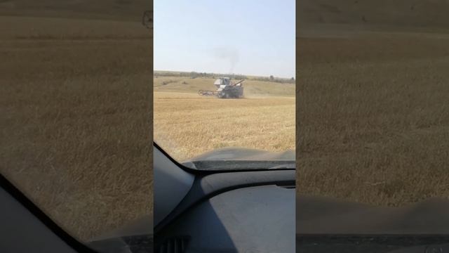 Последний день уборки смотреть онлайн