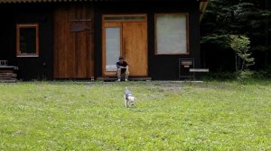 Изготовление складного столика из древесины вишни мастером Ишитани