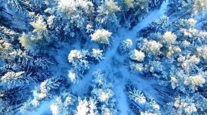 Александр Дюмин - Померкшая Весна (HD 1280x720)