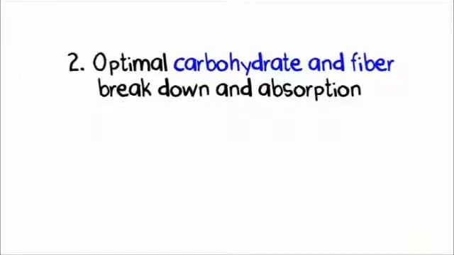 Best Digestive Enzyme for Optimal Nutrient Breakdown Absorption смотреть онлайн