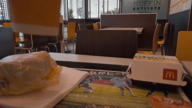 DJI MAVIC MINI 日本仕様199gのドローン10日間使ってみての感想とムラ無し可変NDフィルター #416 [4K] смотреть онлайн