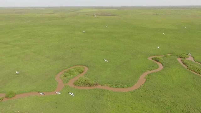 Полеты с аистами смотреть онлайн