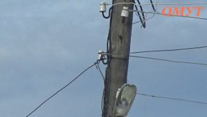 262. ДЯТЛИК С НАМИ...