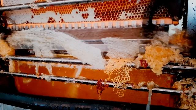 Откачка мёда. Промышленное пчеловодство. Пасека Жмайловых(Буржуй). смотреть онлайн