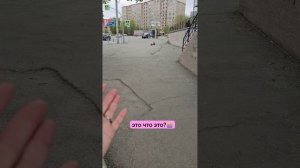 Пишите, если знаете, для чего нужна такая конструкция