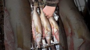 Холодное и горячее копчение от Алковар