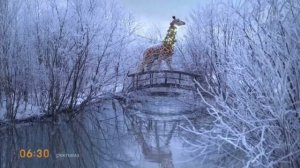 Новогодняя заставка Первый канал (жираф) 2023-2024