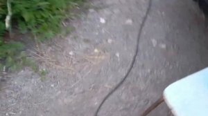 ЗАПРАВКА АВТОКОНДИЦИОНЕРА. СУБАРУ ФОРЕСТЕР