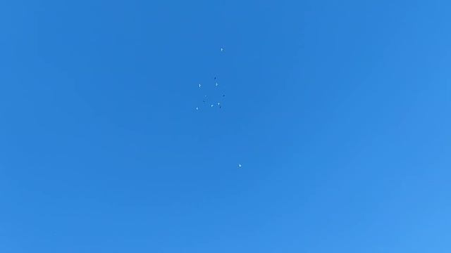 Гон , - 35 смотреть онлайн