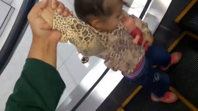 едем в автомагазин смотреть онлайн