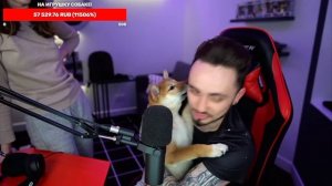 Эдисон показал свою собаку!